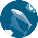 Barbara Torres profile picture