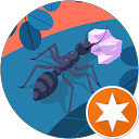 Jacob Palomino profile picture