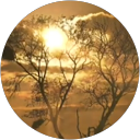 D G profile picture